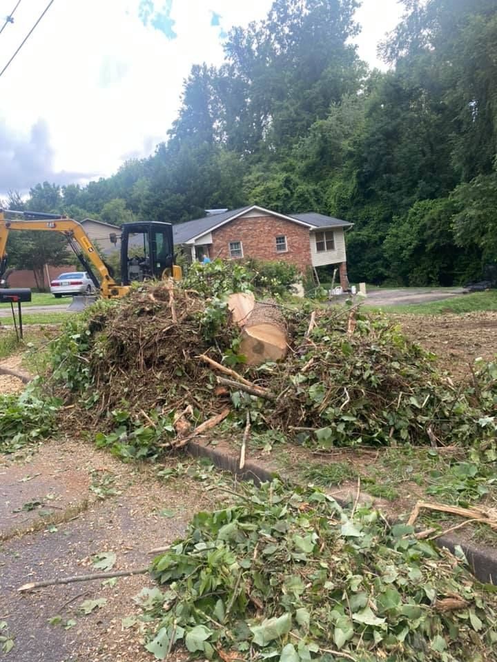 Brush Clearing and Land Clearing